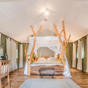 Luxury Tent All-inclusive One Safari